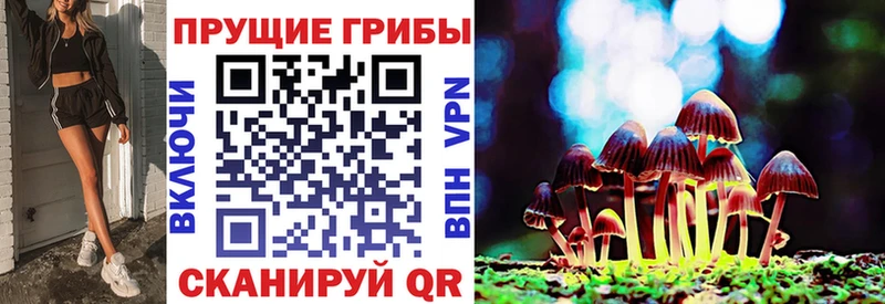 Псилоцибиновые грибы Psilocybine cubensis  kraken сайт  Алупка  цена наркотик 